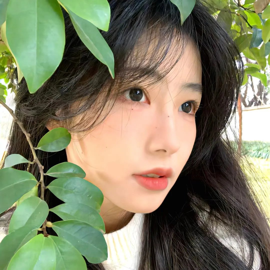 月下奇兵