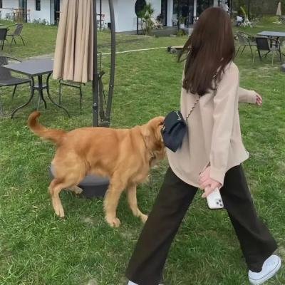 鬼母